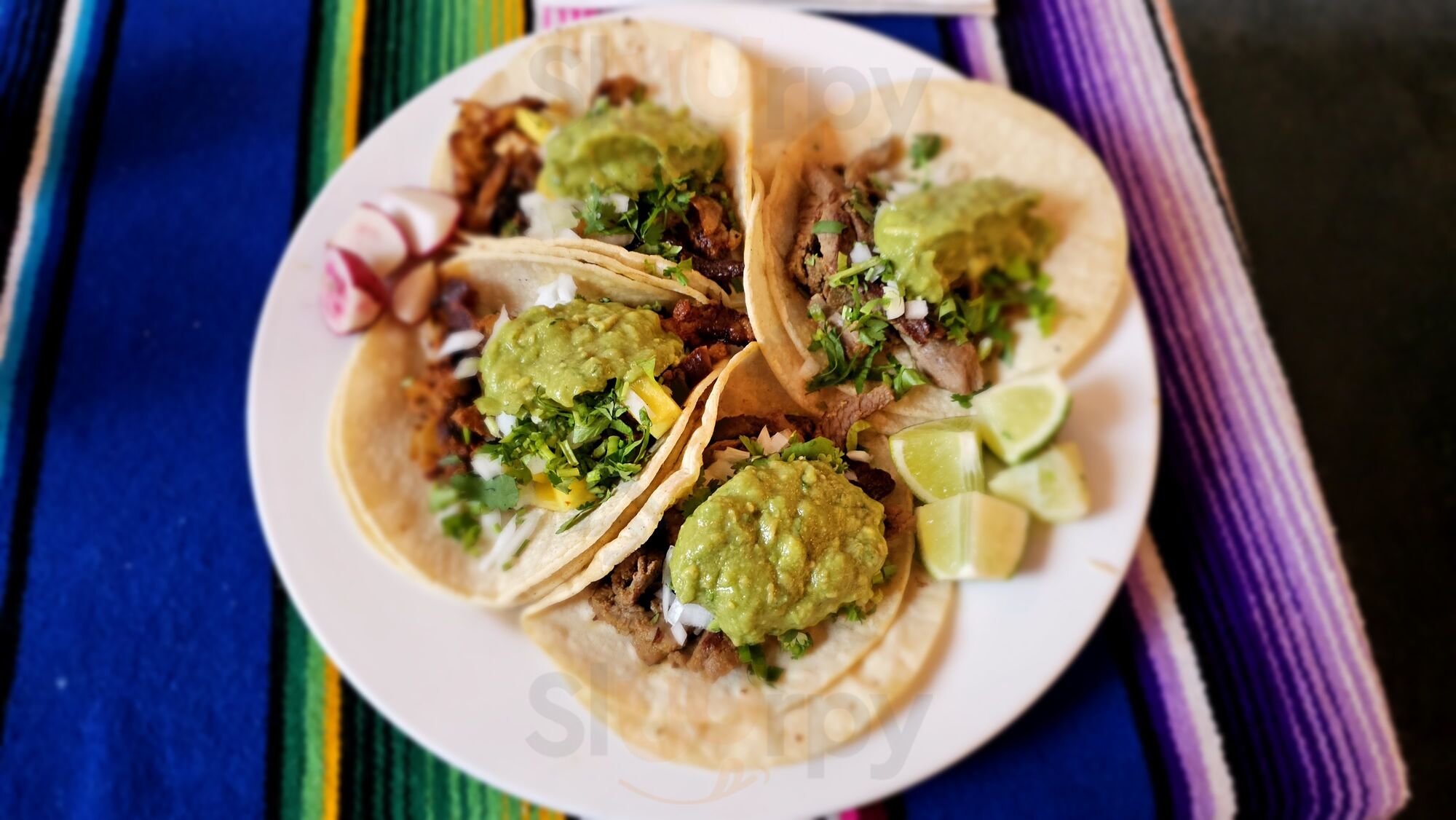 El Paso Mexican Restaurants East Harlem