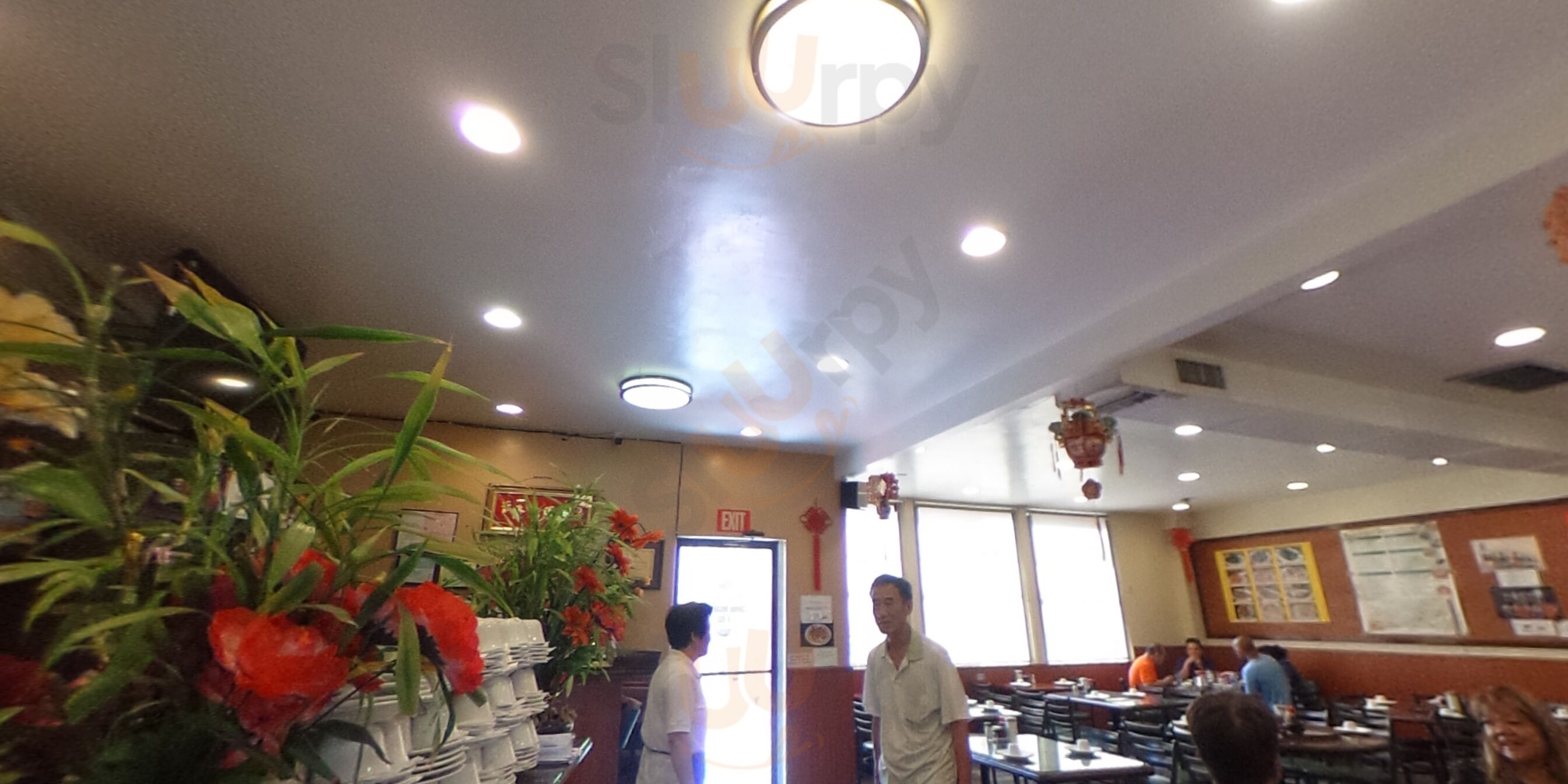 New Dragon Sea Food Restaurant