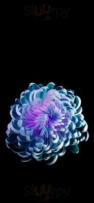 Flower Cafe At Linda's