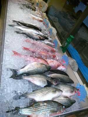Bahary Sea Food
