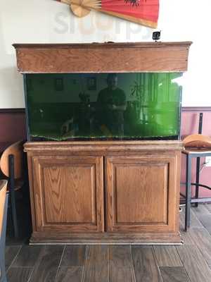 Chef Chu Fine Chinese Food