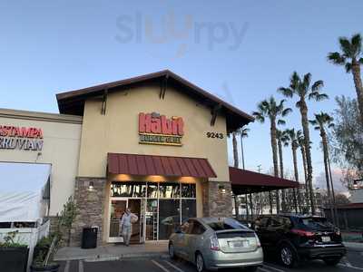 The Habit Burger Grill