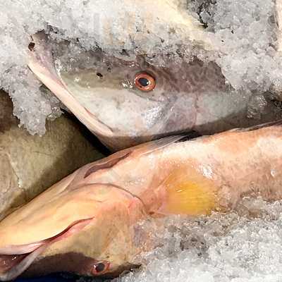 Collins Fish & Seafood