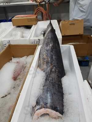 Collins Fish & Seafood