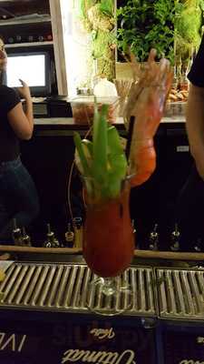 Coyote Ugly Saloon - San Diego