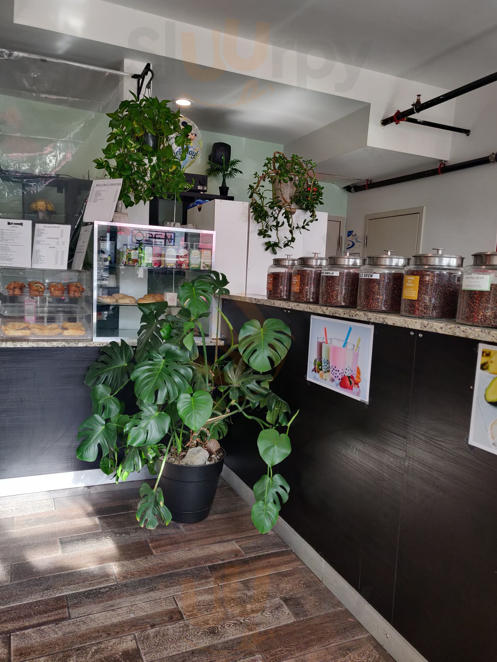 Molly's Farmhouse Coffee