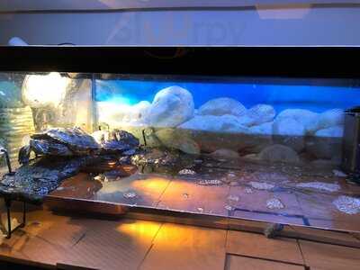 Chaiya Thai Restaurant