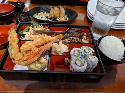 Hot Woks Cool Sushi - Willis Tower