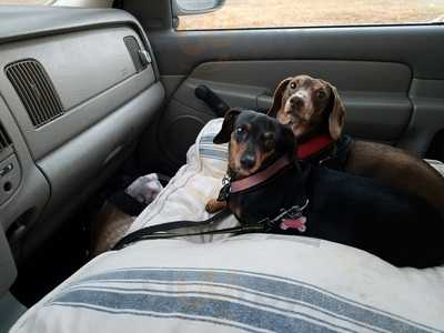 Garibaldi Restaurant