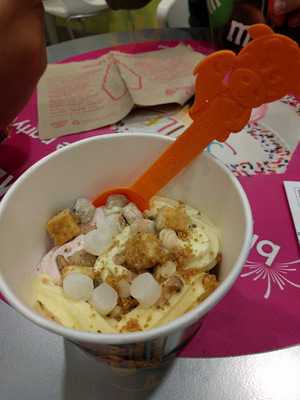 Menchie's Frozen Yogurt