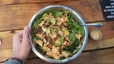 Garden Monsters On Division