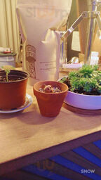 Kings Coffee Roasters