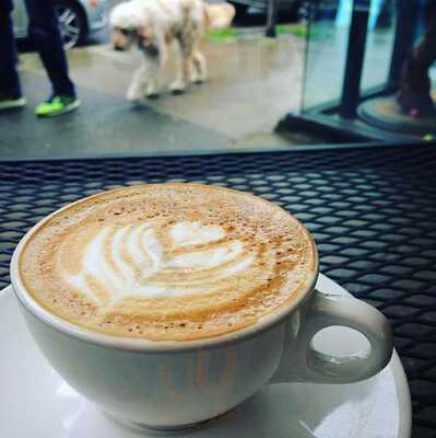 Java Hound Coffee Bar