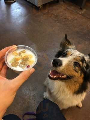 Java Hound Coffee Bar