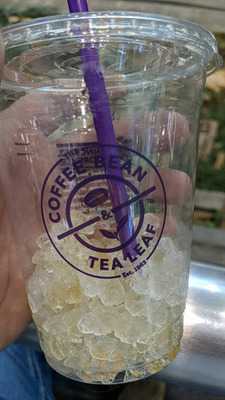 Nutty Bean Coffee Cafe