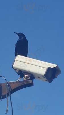 Sabal Palm Cafeteria