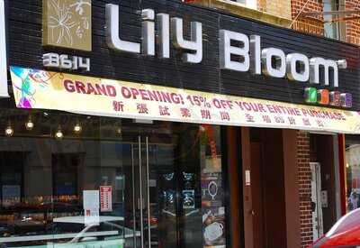 Lily Bloom Bakery