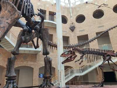 Fernbank