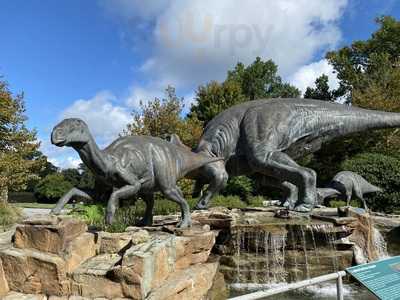 Fernbank