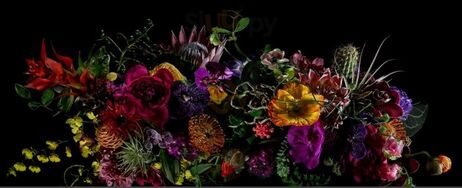 Savannah Seafood Company