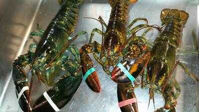 A-priori Bar & Restaurant