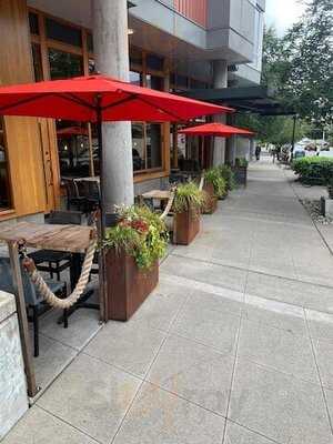 Agave Cocina & Tequila I West Seattle