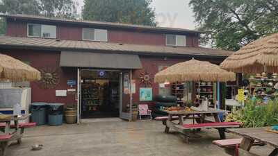Island Cove Cafe & Market