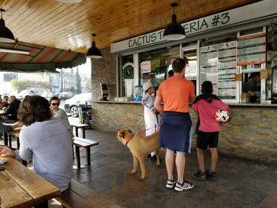 Cactus Taqueria #3