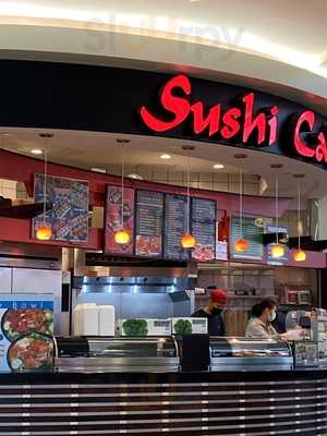 Sushi Cafe