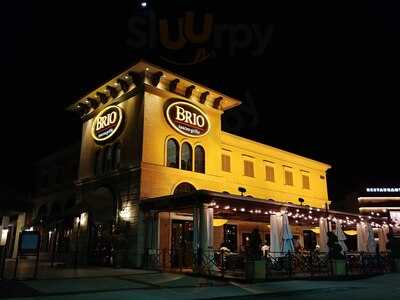 Brio Italian
