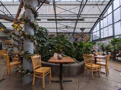 Alexa's Garden Cafe