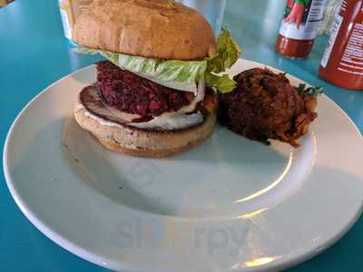 Counter Culture Frozen Yogurt