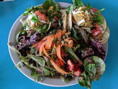 Counter Culture Frozen Yogurt