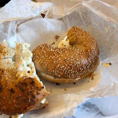 Tal Bagel