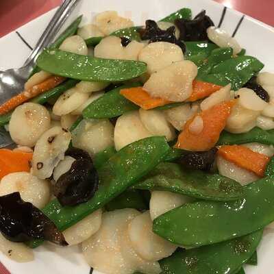 Szechuan Taste Restaurant