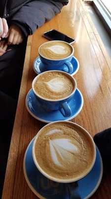 Bluestone Lane Scott Circle Coffee Shop