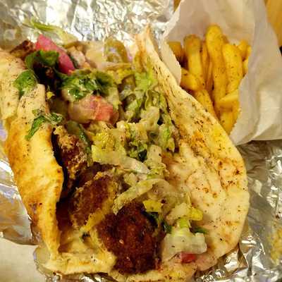 Falafel Fusion