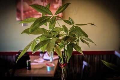 Ka Prao Thai Cuisine