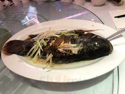 Dim Sum And Seafood Chinese Restaurant