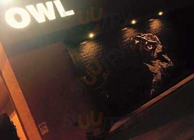 The Owl