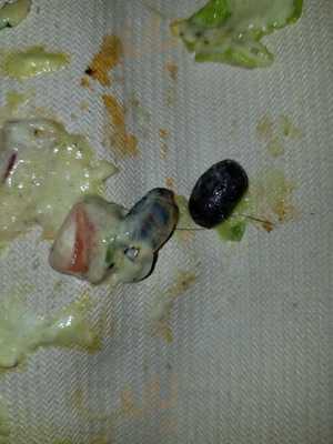 Buddys Mexican Grill