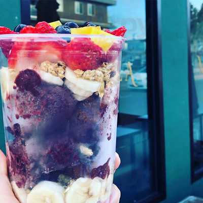 Surfing Bear Sandwich