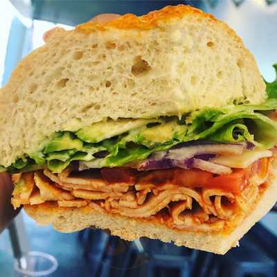 Surfing Bear Sandwich