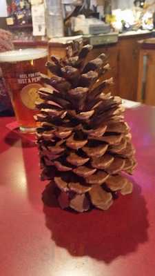 Blackwell's Grub Steak Grill