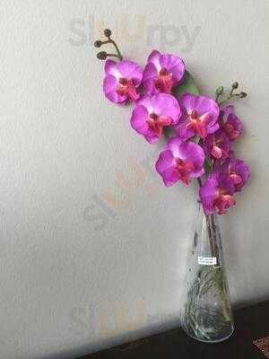 Bangkok Thai Cuisine