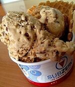 Sub Zero Ice Cream