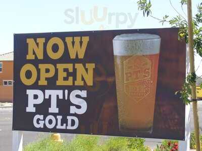Pt's Gold