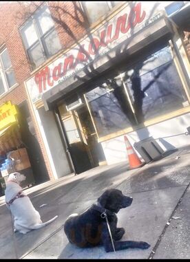 Mansoura's Oriental Pastry