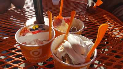 Orange Leaf Frozen Yogurt