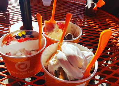 Orange Leaf Frozen Yogurt